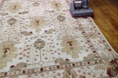 Rug-in-home-cleaning-maintenance